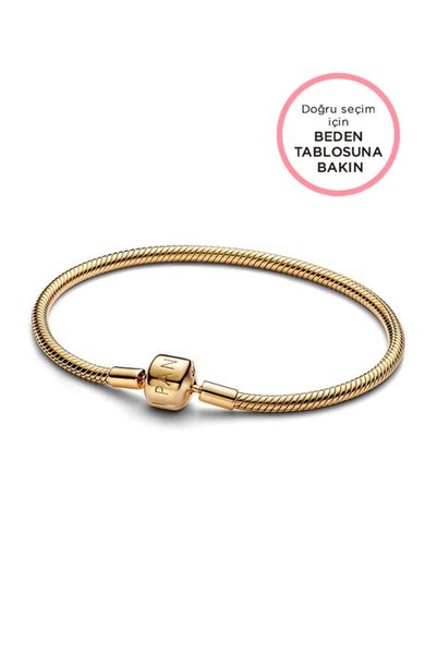 Moments Cylinder Clip Snake Chain Bracelet