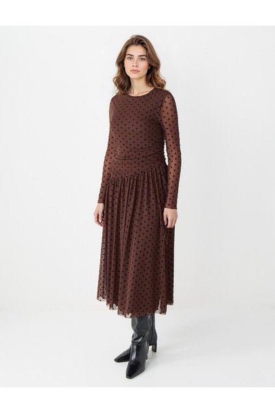 Brown Round Neck Long Sleeve Polka Dot Mesh Midi Dress