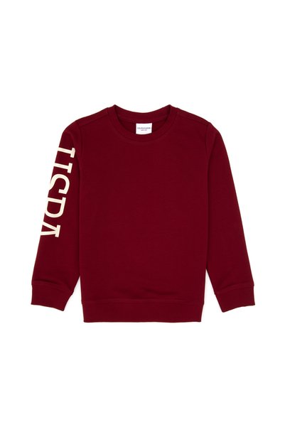 Boy's Burgundy Crew Neck Basic Sweatshirt 50313831-Vr014