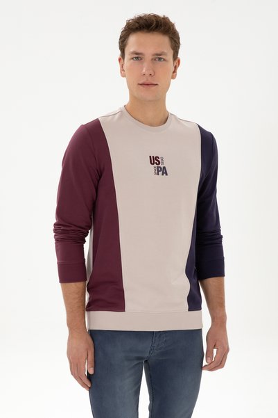 Men's Regular Fit Crew Neck Stone Thin Sweatshirt 50316379-Vr049