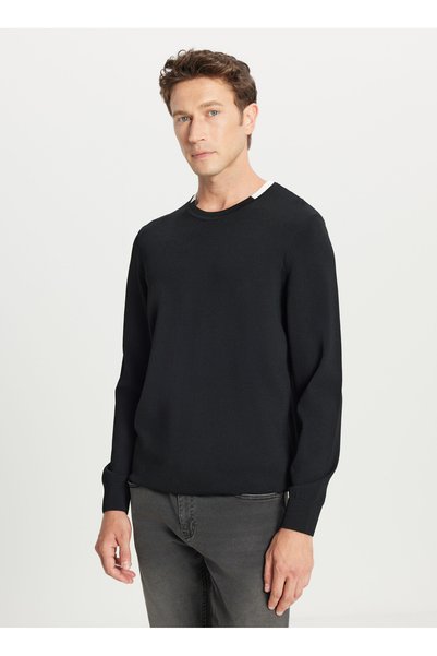Crew Neck Standard Black Men's Sweater Ace049261484_Syh