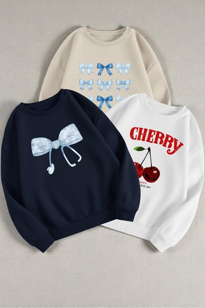 Multi-Colored Printed & Unprinted Sweatshirt 3-Piece Opportunity Pack