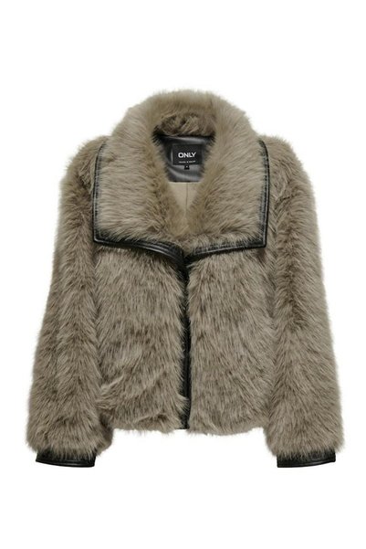 Pısa Fur Women's Jacket 15330273
