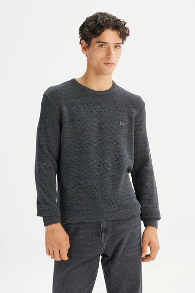 Cotton Regular Fit Regular Cut Crew Neck Knitwear Sweater
