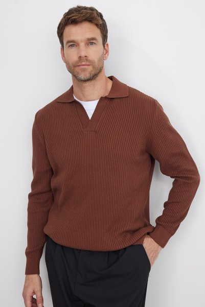 Men's Standard Fit Regular Cut Cotton Polo V-Neck Brown Sweater