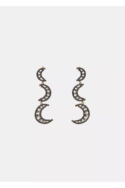 Steel Stone Moon Earrings