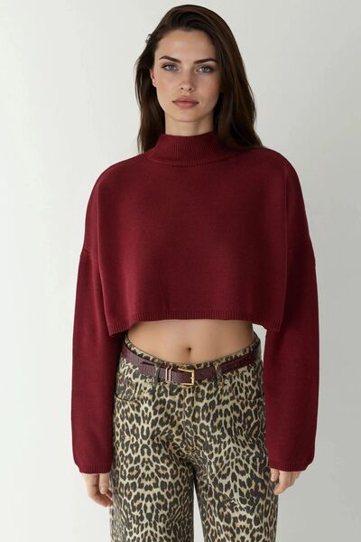 High Neck Crop Sweater