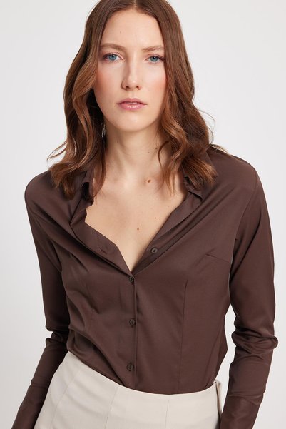 Women's Slim Fit, Slim Cut, Classic Collar, Long Sleeve, Lycra Brown Shirt