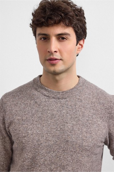 Mink Regular Fit Crew Neck Knitwear Sweater