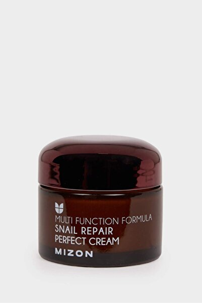 Mizon Snail Repair Perfect Cream Хидратантна Крем За Лице Со Екстракт Од Полжав 50 ml H3448AXNS