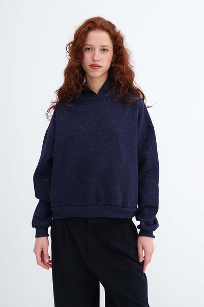 Silvery Hooded Sweatshirt S12916
