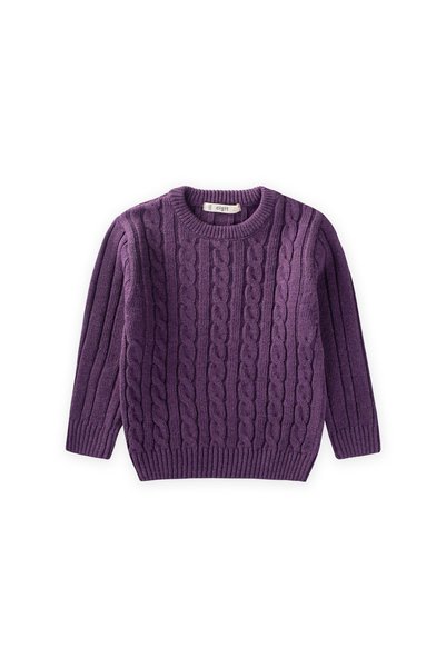 Hair Braided Sweater 1-8 Years Purple