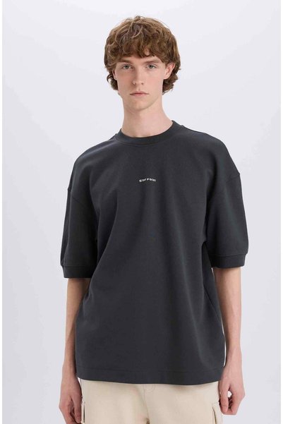 Loose Fit Crew Neck Printed Short Sleeve Heavy Fabric T-Shirt C0896Ax24Sp