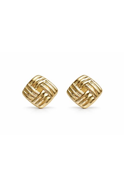 Steel Gila Earrings