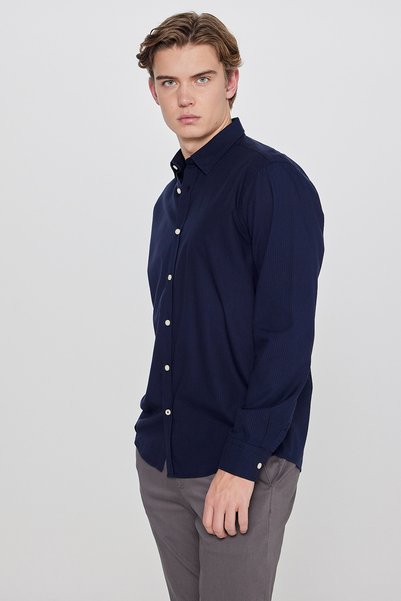 Cotton Soft Textured Regular Fit Regular Cut Striped Shirt