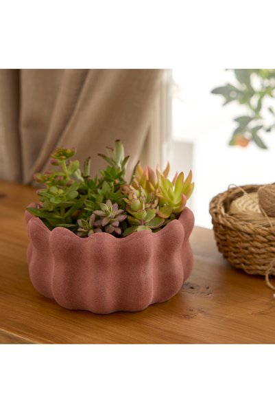 Valeria Flower Pot 19.9X19.9X10 cm