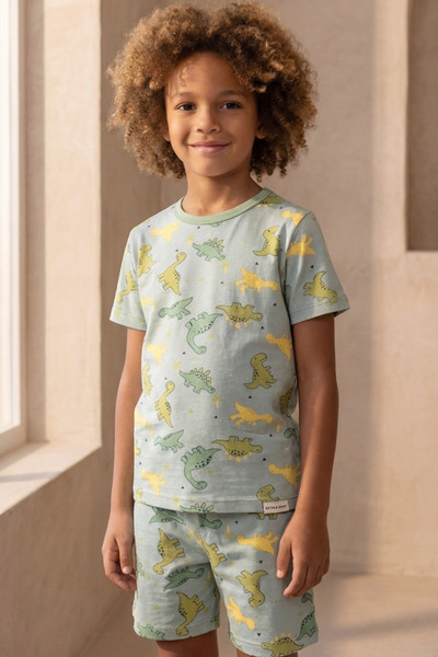 Dinosaur Patterned Packaged Green Boy's Shorts Set