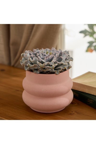 Valeria Flower Pot 16X16X12,5 cm