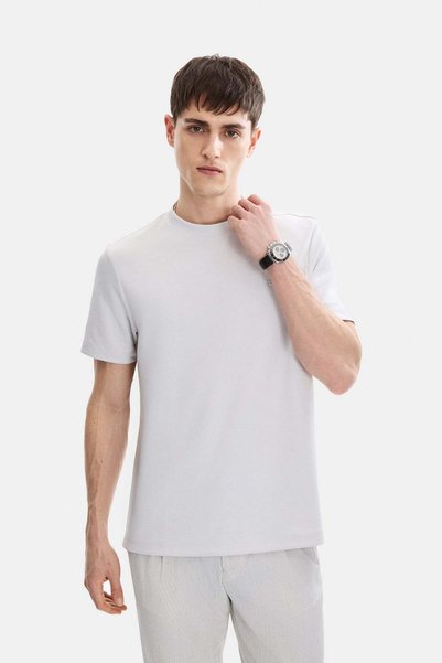 Gray Regular Fit Crew Neck Basic T-Shirt