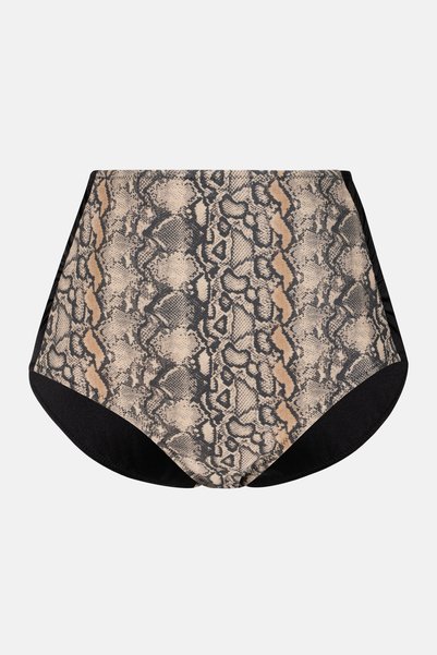 Multicolor High Waist Bikini Bottom