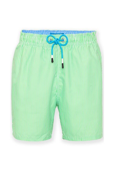 Shorts Swimsuit