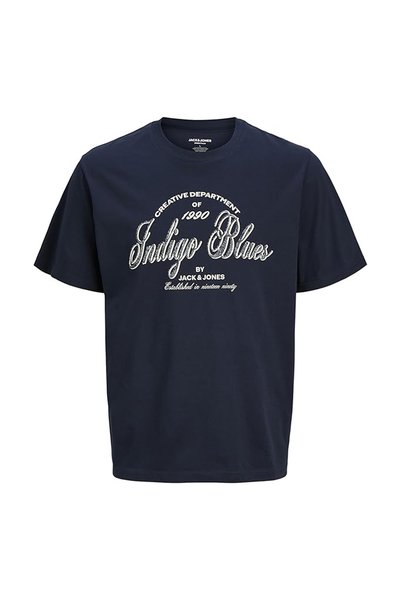 Navy Blue Boy's Printed T-Shirt 12294161