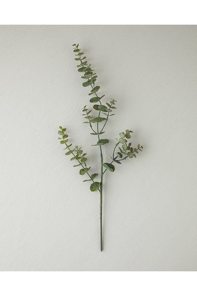 80 Sm Green Eucalyptus Single Branch Leaf Flower