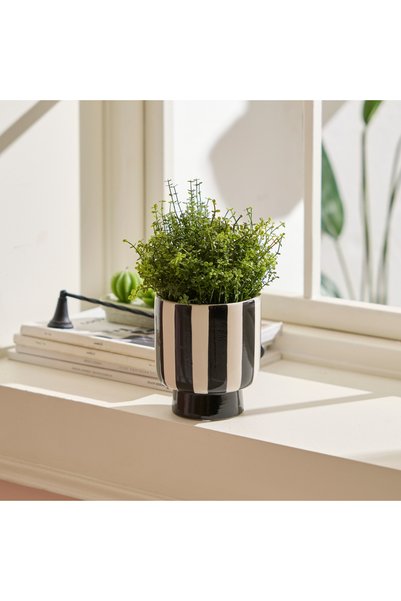 Belissia Flower Pot 12.5X12.5X13.5 cm