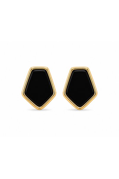 Steel Asle Earrings