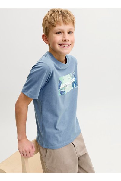 Blue Boy's Printed T-Shirt 12289947