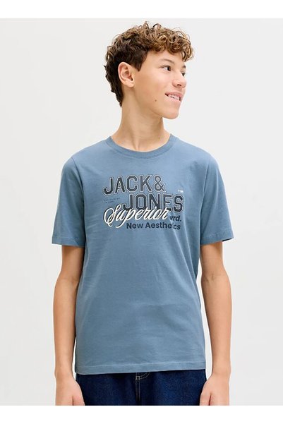 Blue Boy's Printed T-Shirt 12289236
