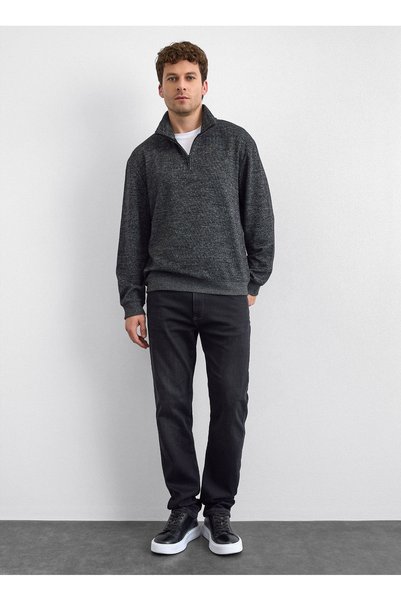 Gray Men's Stand Collar Regular Fit Sweatshirt B35W12016
