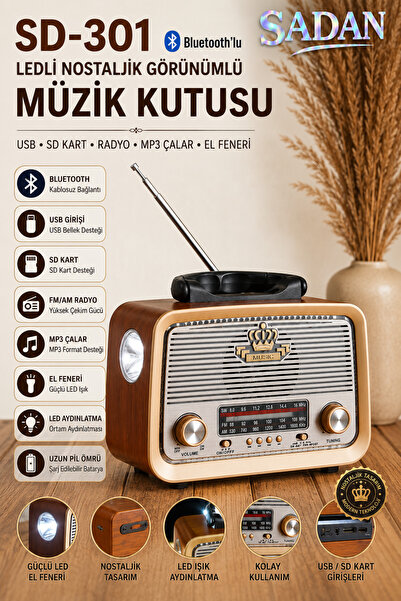 Vintage Rt-301 носталгично Bluetooth радио на полнење Usb Sd Mp3 плеер