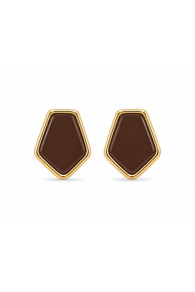 Steel Asle Earrings