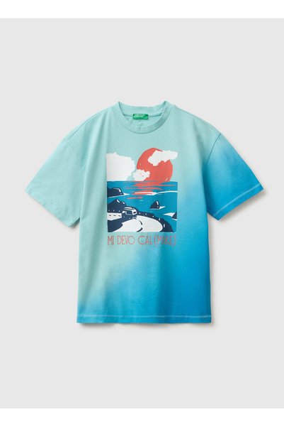 Turquoise Boy's Printed T-Shirt 3Npdc10Tz