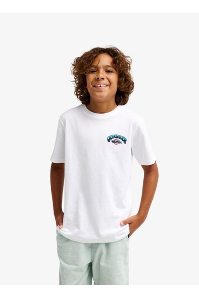 White Boy's Printed T-Shirt Eqbzt04957-Palm Horizon Ss