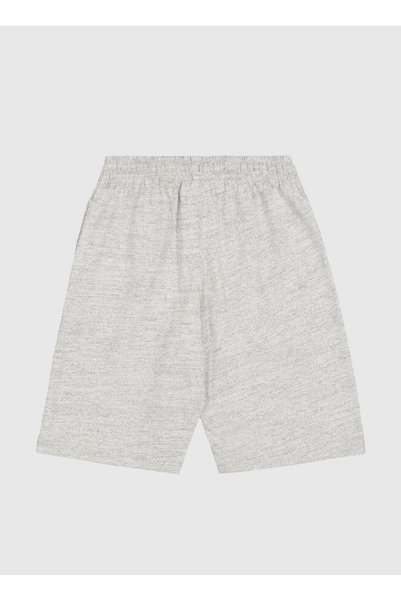 Gray Boy's Shorts 307052