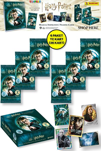 Panini Harry Potter колекционерски картички - 6 ПАКЕТИ (36 КАРТИЧКИ)