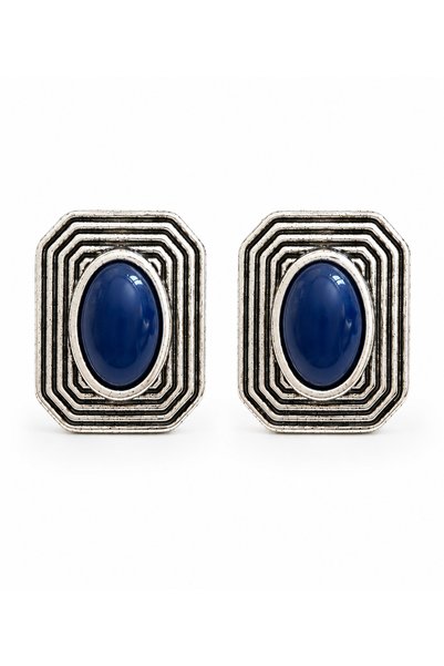 Steel Arnia Earrings