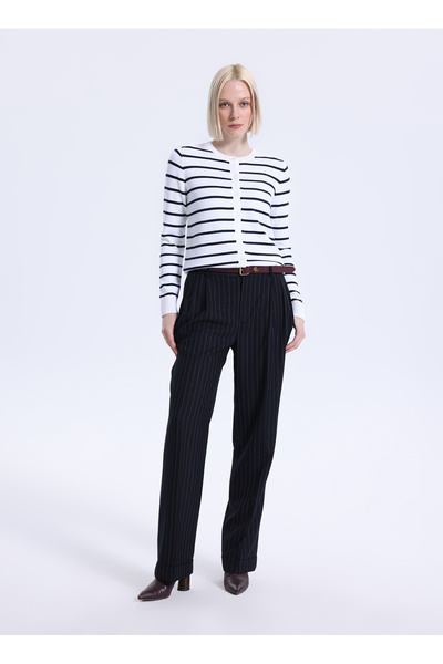 Navy Blue Women's Striped Trousers 200P07903