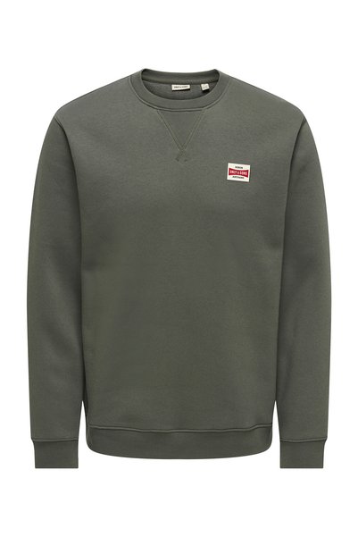 Green Men's O-Neck Printed Sweatshirt 22033193 Onsdawson Reg Crew Ww Vd