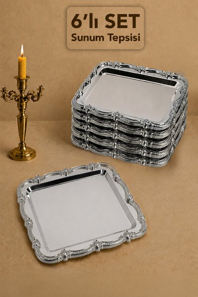 6-Piece Rose Patterned Tray - Coffee and Catering Serving Presentation Tray with Stainless Steel Silver Frame Detail