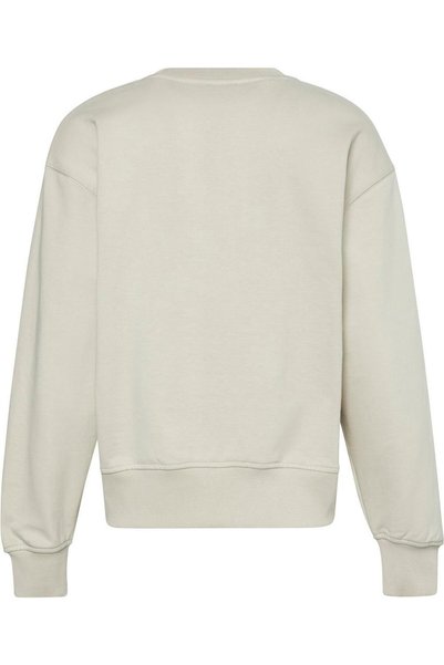 Round Neck Plain Brown Women's Sweatshirt Lv044D203Gnsu