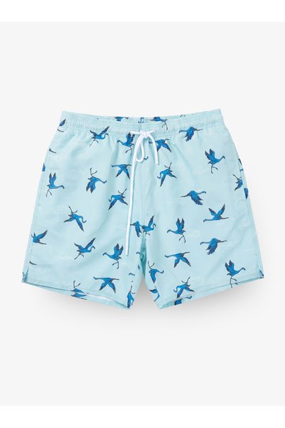 Men's Swim Shorts 10876 - Patterned
