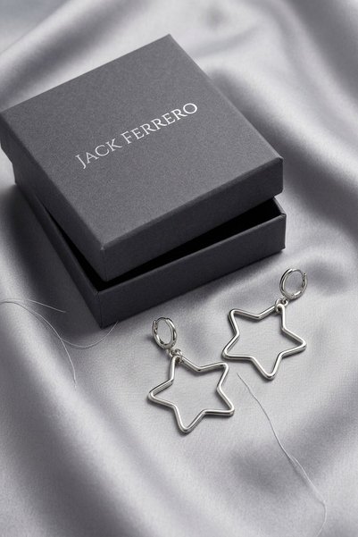 Stylish Stainless Steel Star Earring Set in Special Box
