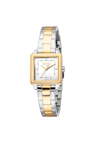 Es1L511M1065 Women Wrist Watch