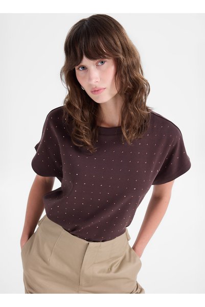 Brown Women's Relaxed Stone T-Shirt F5Wl-Tst0247