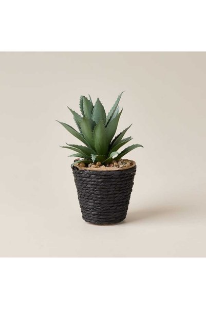 Deco Potted Artificial Succulent - Beige / Green - 15X9 cm