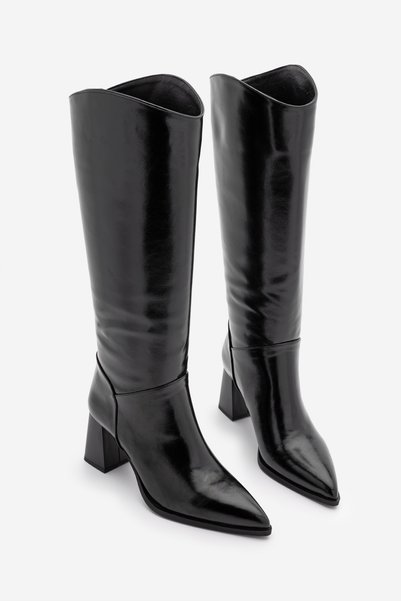 Women's Pointed Toe Thick Heeled Bellows Heeled Boots Without Zipper Tines Black