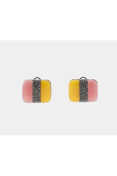 Steel Enda Earrings